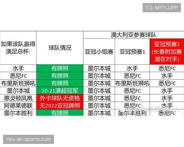 加维比赛风格中红黄牌频发问题解析
